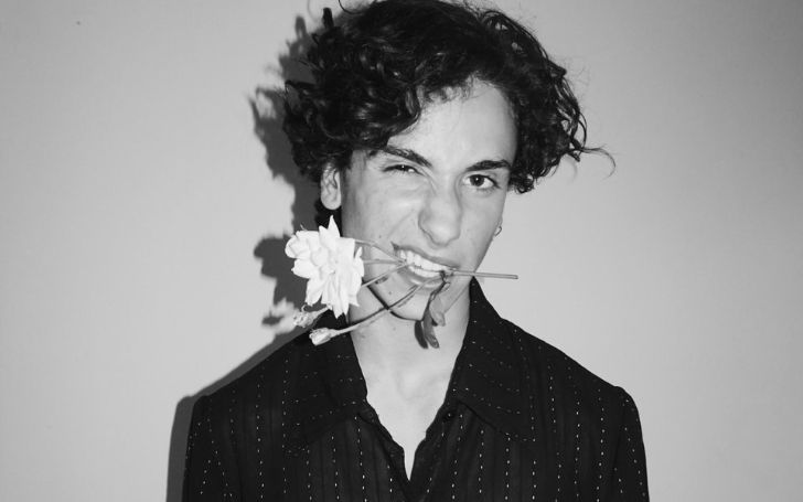 Teo Halm possesses a net worth of $500 thousand. Halm's career as an actor and musician helped him summon his fortune. Like the other actors in Hollywood, he makes an average salary of $60 thousand to $150 thousand annually from various movies. Similarly, he makes $40 thousand to $100 thousand annually as a musician.